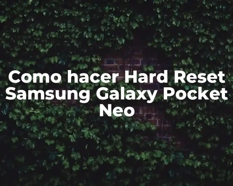 Como hacer Hard Reset Samsung Galaxy Pocket Neo
