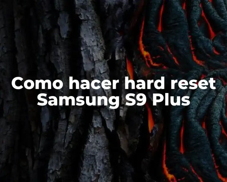 Como hacer hard reset Samsung S9 Plus