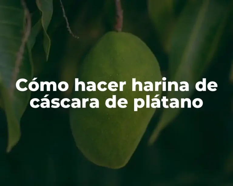 Cómo hacer harina de cáscara de plátano