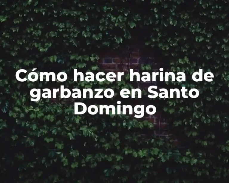 Cómo hacer harina de garbanzo en Santo Domingo