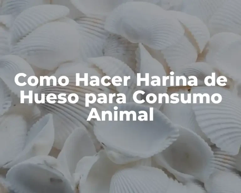 Como Hacer Harina de Hueso para Consumo Animal