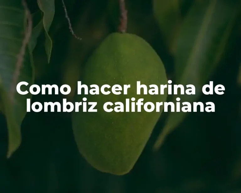 Como hacer harina de lombriz californiana