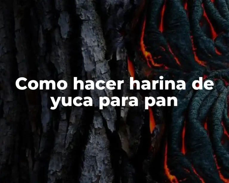 Como hacer harina de yuca para pan