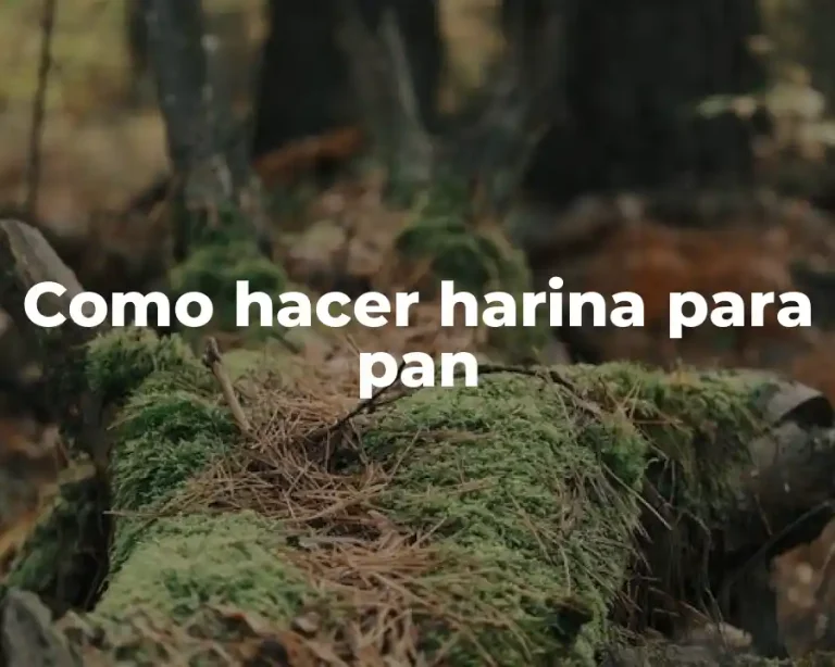 Como hacer harina para pan