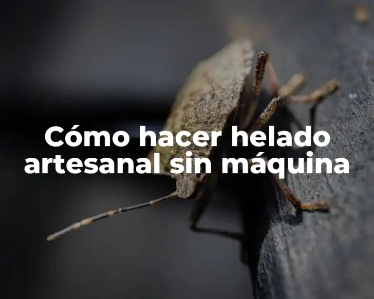 Cómo hacer helado artesanal sin máquina