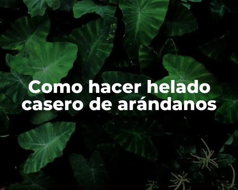 Como hacer helado casero de arándanos