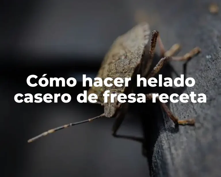 Cómo hacer helado casero de fresa receta