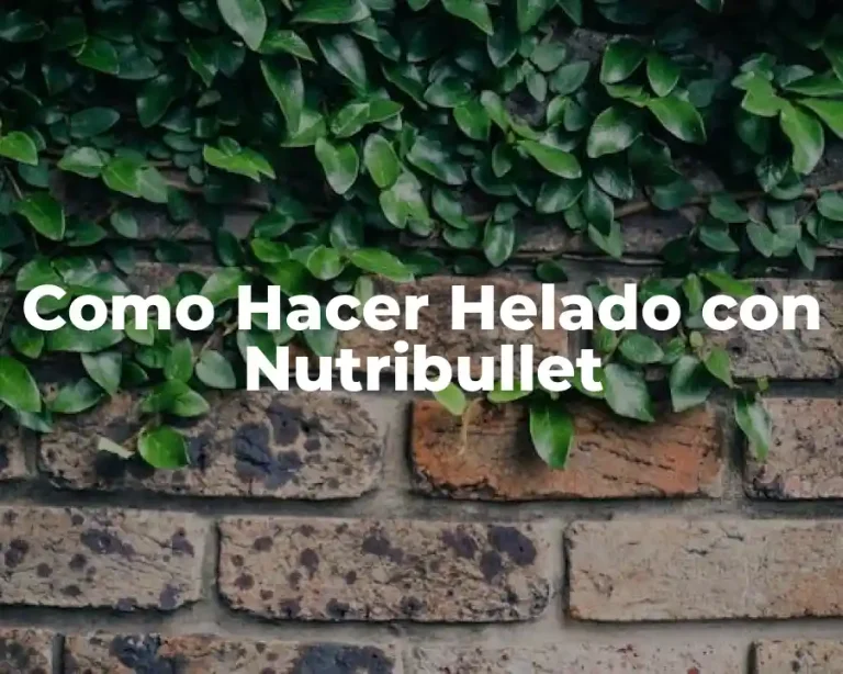 Como Hacer Helado con Nutribullet