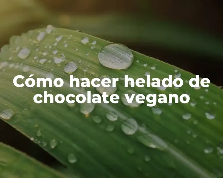 Cómo hacer helado de chocolate vegano