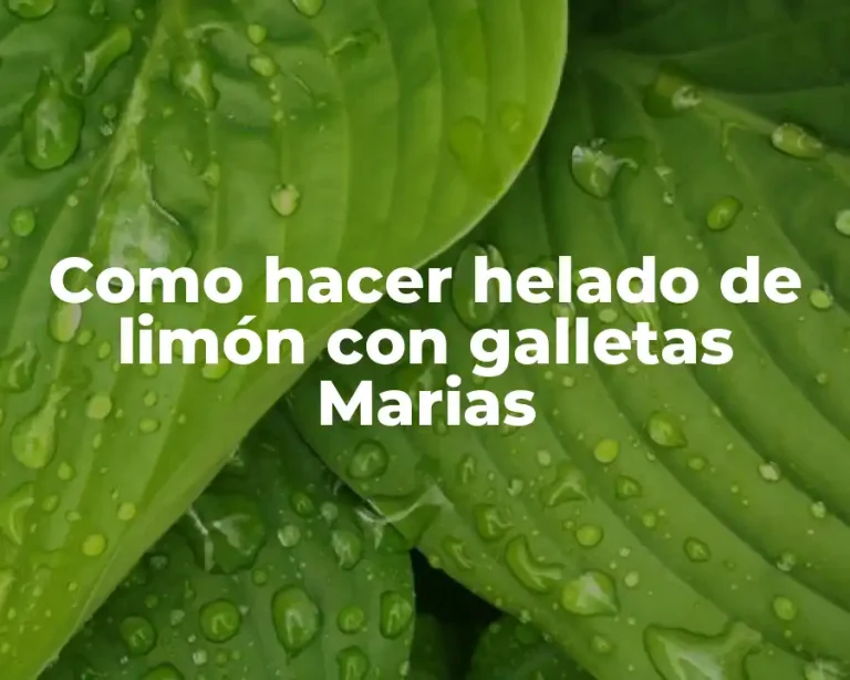 Como hacer helado de limón con galletas Marias