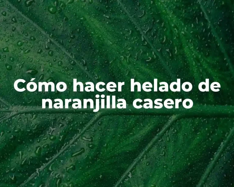 Cómo hacer helado de naranjilla casero