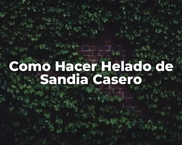 Como Hacer Helado de Sandia Casero