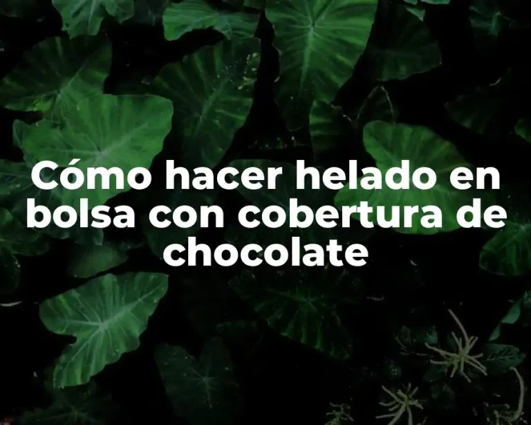 Cómo hacer helado en bolsa con cobertura de chocolate