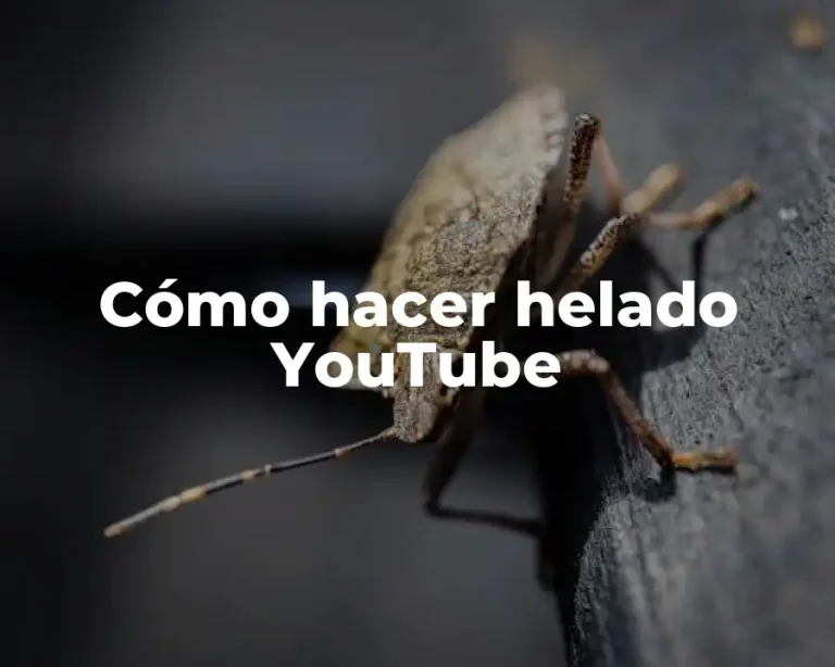 Cómo hacer helado YouTube