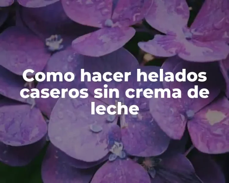 Como hacer helados caseros sin crema de leche