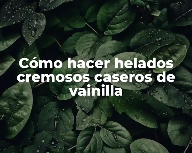 Cómo hacer helados cremosos caseros de vainilla
