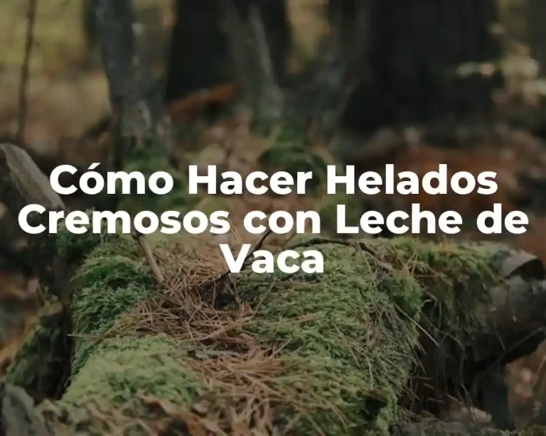 Cómo Hacer Helados Cremosos con Leche de Vaca