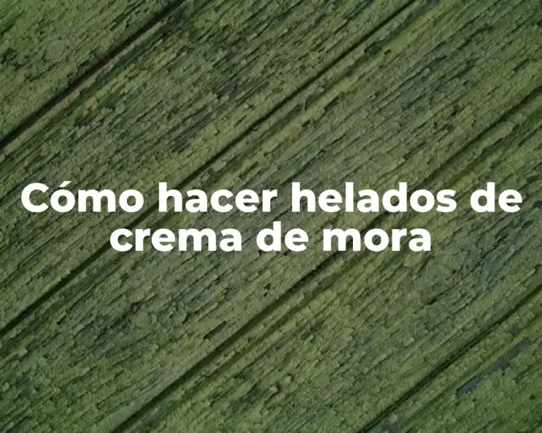 Cómo hacer helados de crema de mora