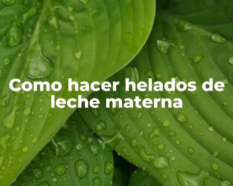 Como hacer helados de leche materna