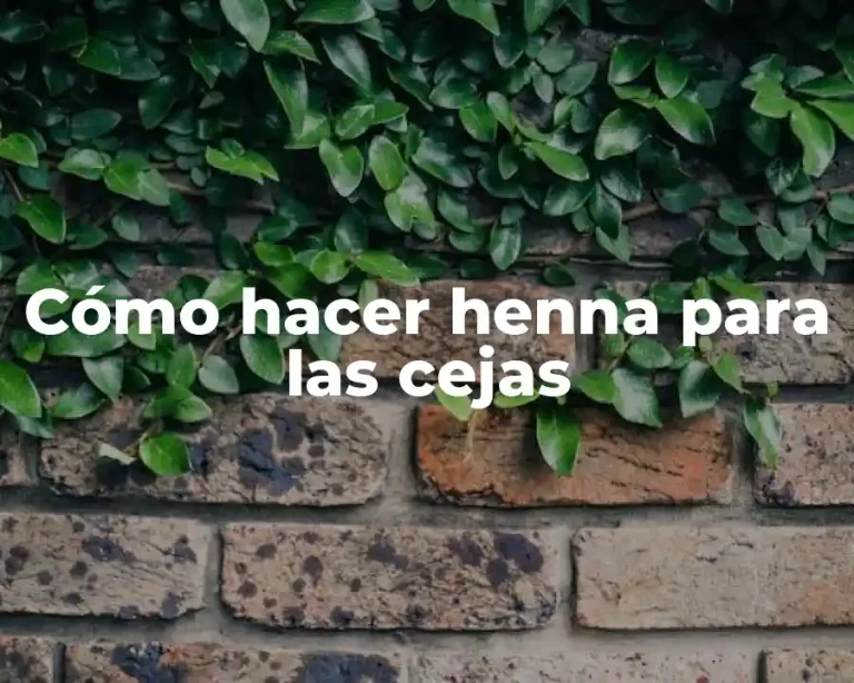 Cómo hacer henna para las cejas