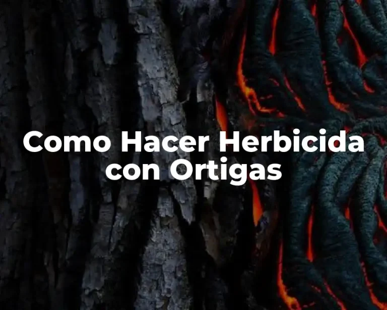 Como Hacer Herbicida con Ortigas
