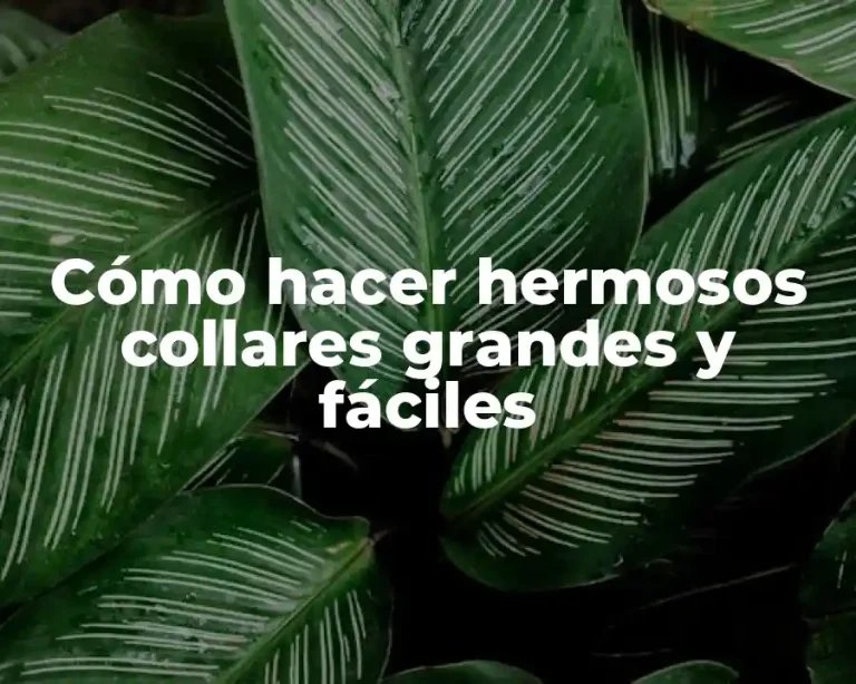 Cómo hacer hermosos collares grandes y fáciles