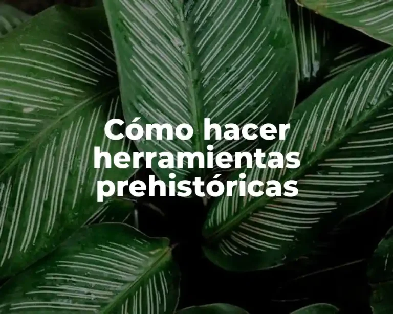 Cómo hacer herramientas prehistóricas