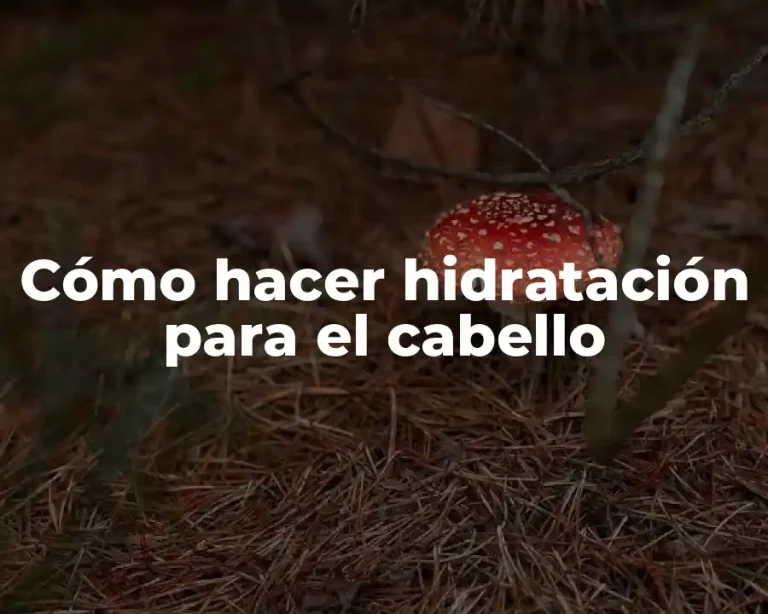 Cómo hacer hidratación para el cabello