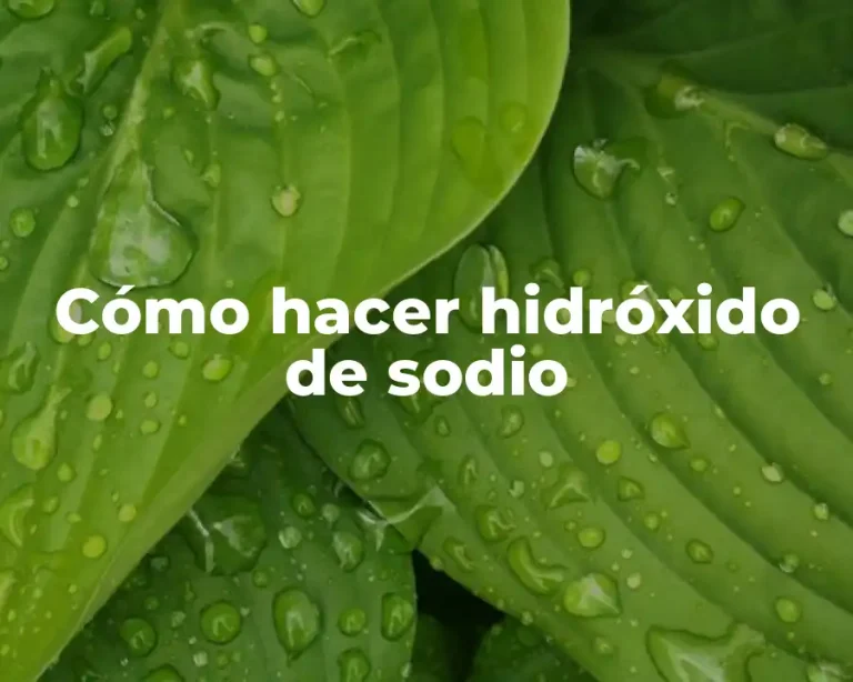 Cómo hacer hidróxido de sodio
