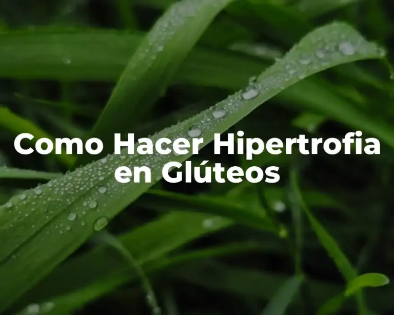 Como Hacer Hipertrofia en Glúteos