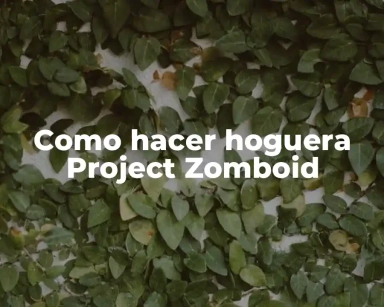 Como hacer hoguera Project Zomboid