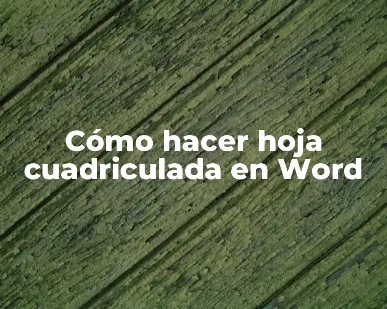 Cómo hacer hoja cuadriculada en Word