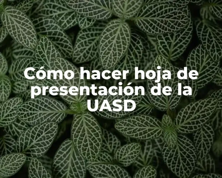 Cómo hacer hoja de presentación de la UASD