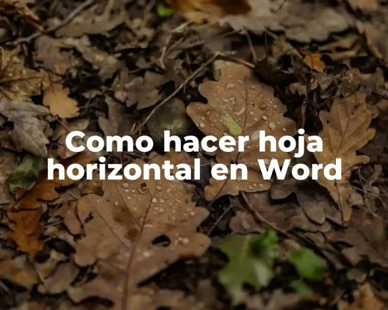 Como hacer hoja horizontal en Word