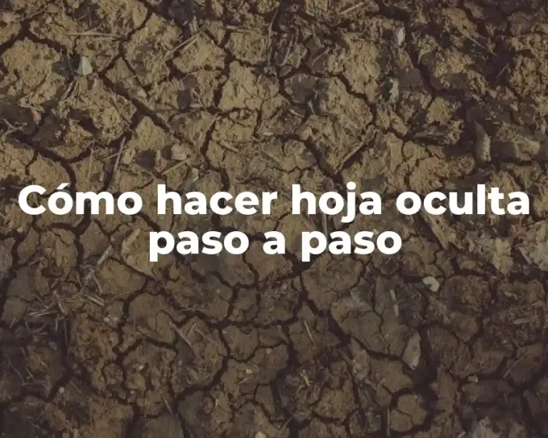 Cómo hacer hoja oculta paso a paso