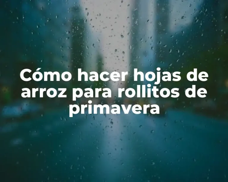Cómo hacer hojas de arroz para rollitos de primavera