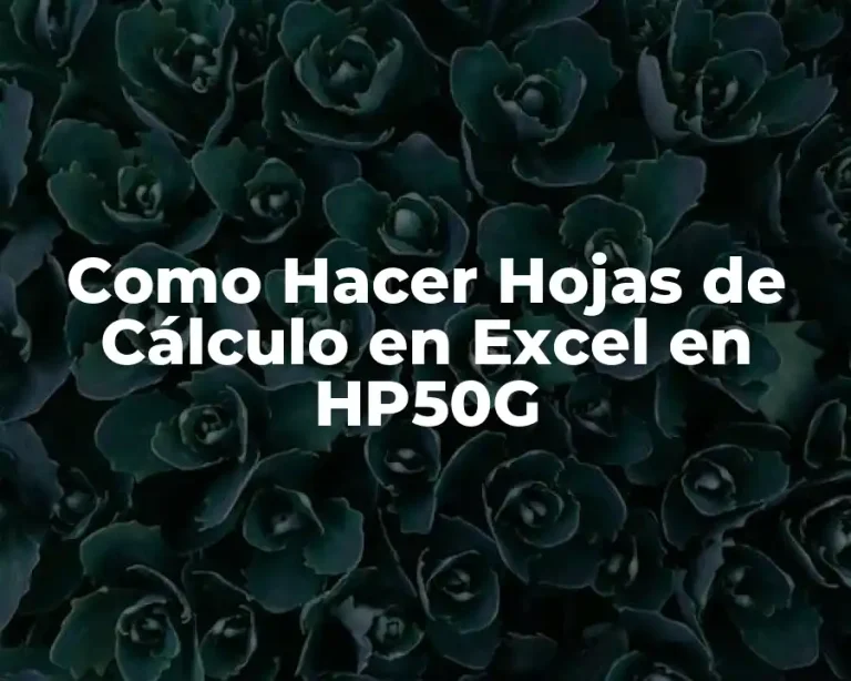 Como Hacer Hojas de Cálculo en Excel en HP50G