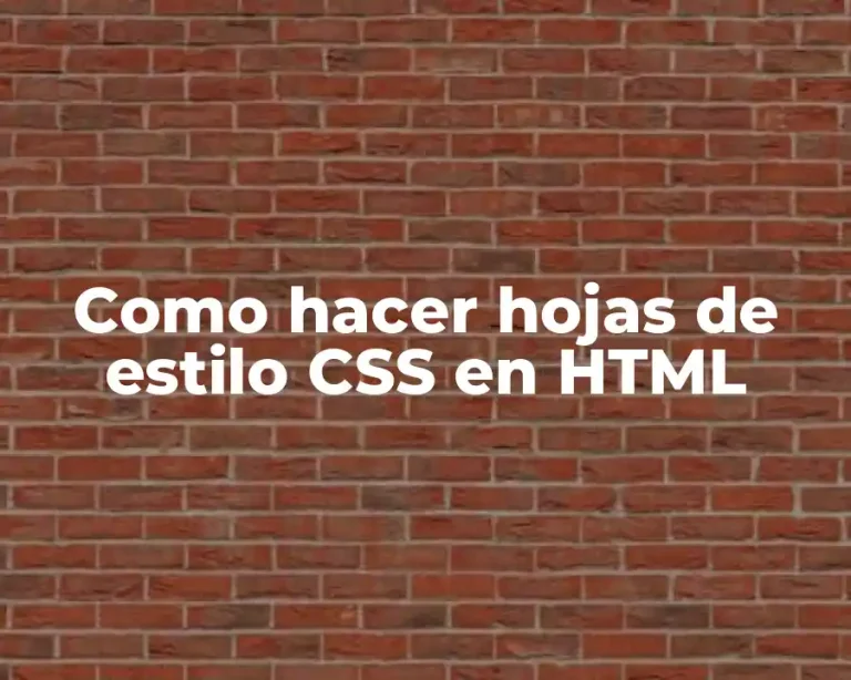 Como hacer hojas de estilo CSS en HTML