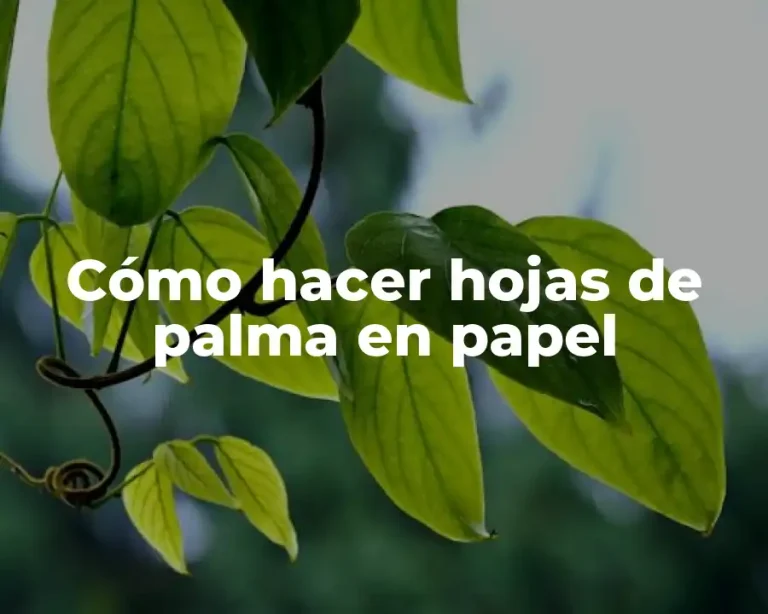 Cómo hacer hojas de palma en papel