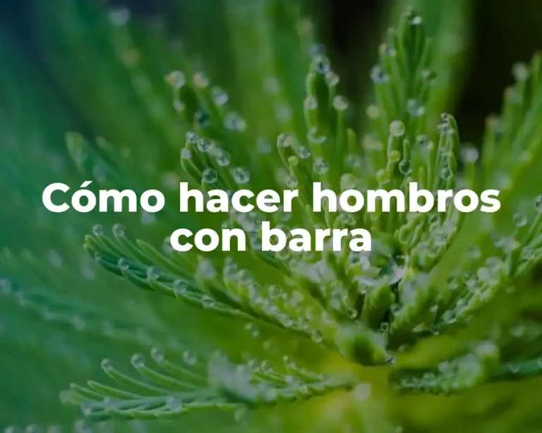 Cómo hacer hombros con barra
