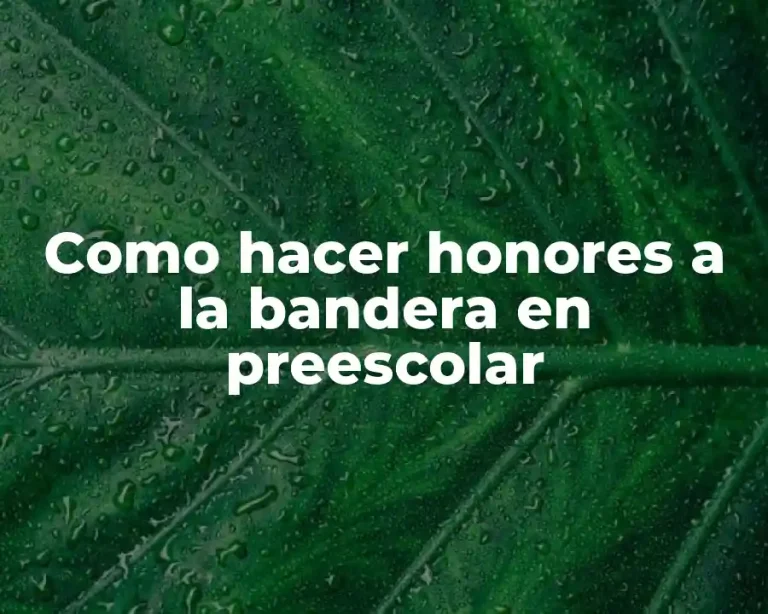 Como hacer honores a la bandera en preescolar