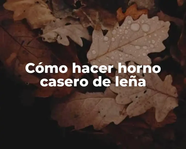 Cómo hacer horno casero de leña