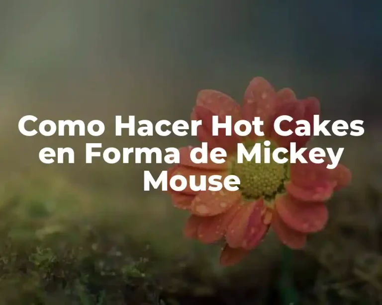 Como Hacer Hot Cakes en Forma de Mickey Mouse