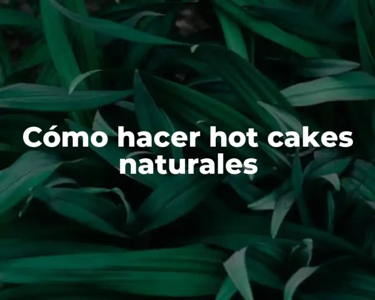 Cómo hacer hot cakes naturales