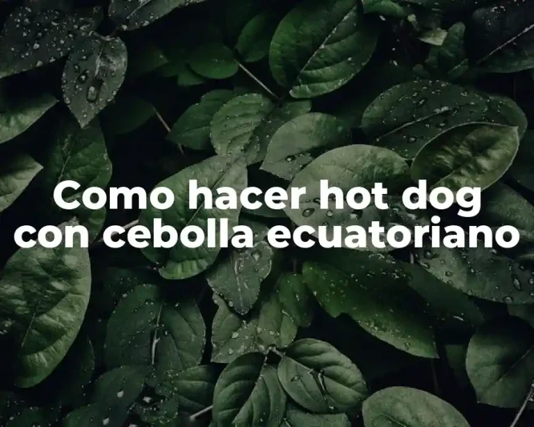 Como hacer hot dog con cebolla ecuatoriano
