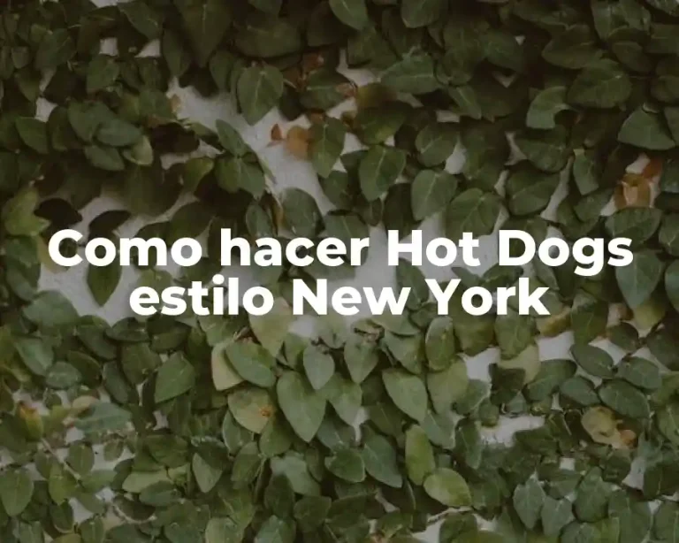 Como hacer Hot Dogs estilo New York