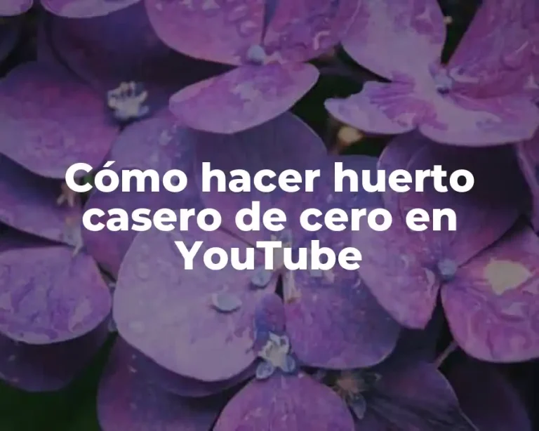 Cómo hacer huerto casero de cero en YouTube