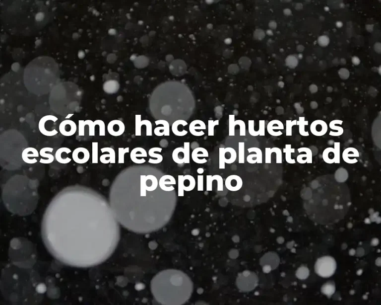 Cómo hacer huertos escolares de planta de pepino
