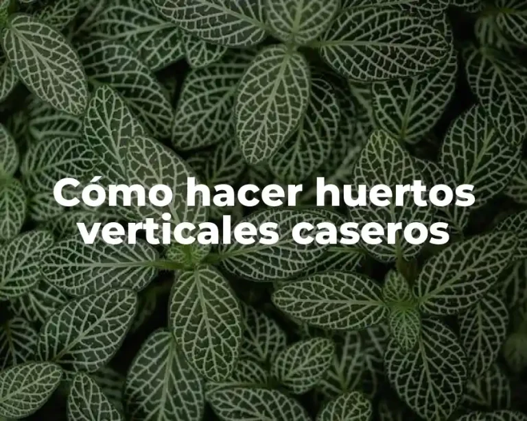 Cómo hacer huertos verticales caseros