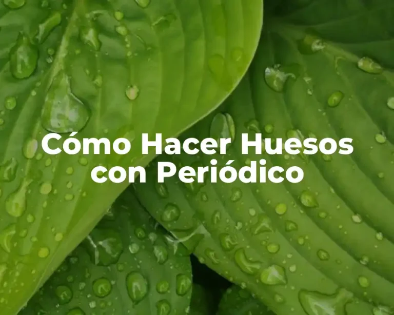 Cómo Hacer Huesos con Periódico